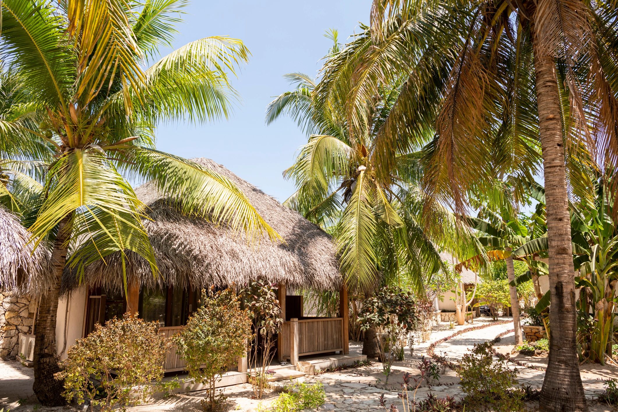 Tropical beach hut with hammocks under palm trees
