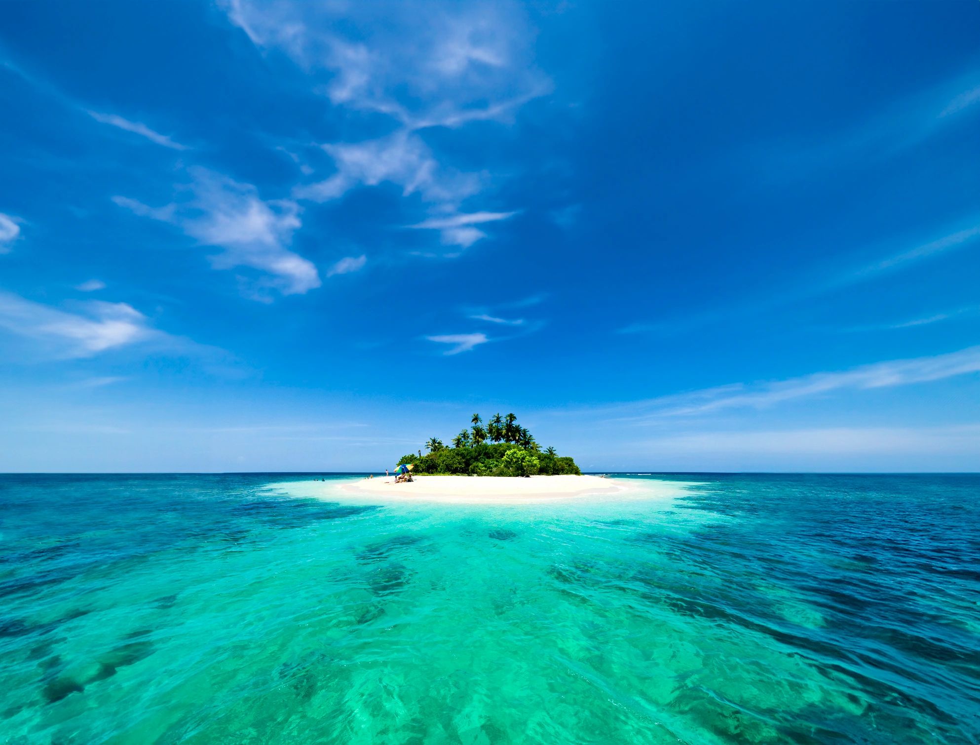 Palm-lined tropical beach with white sand and calm water