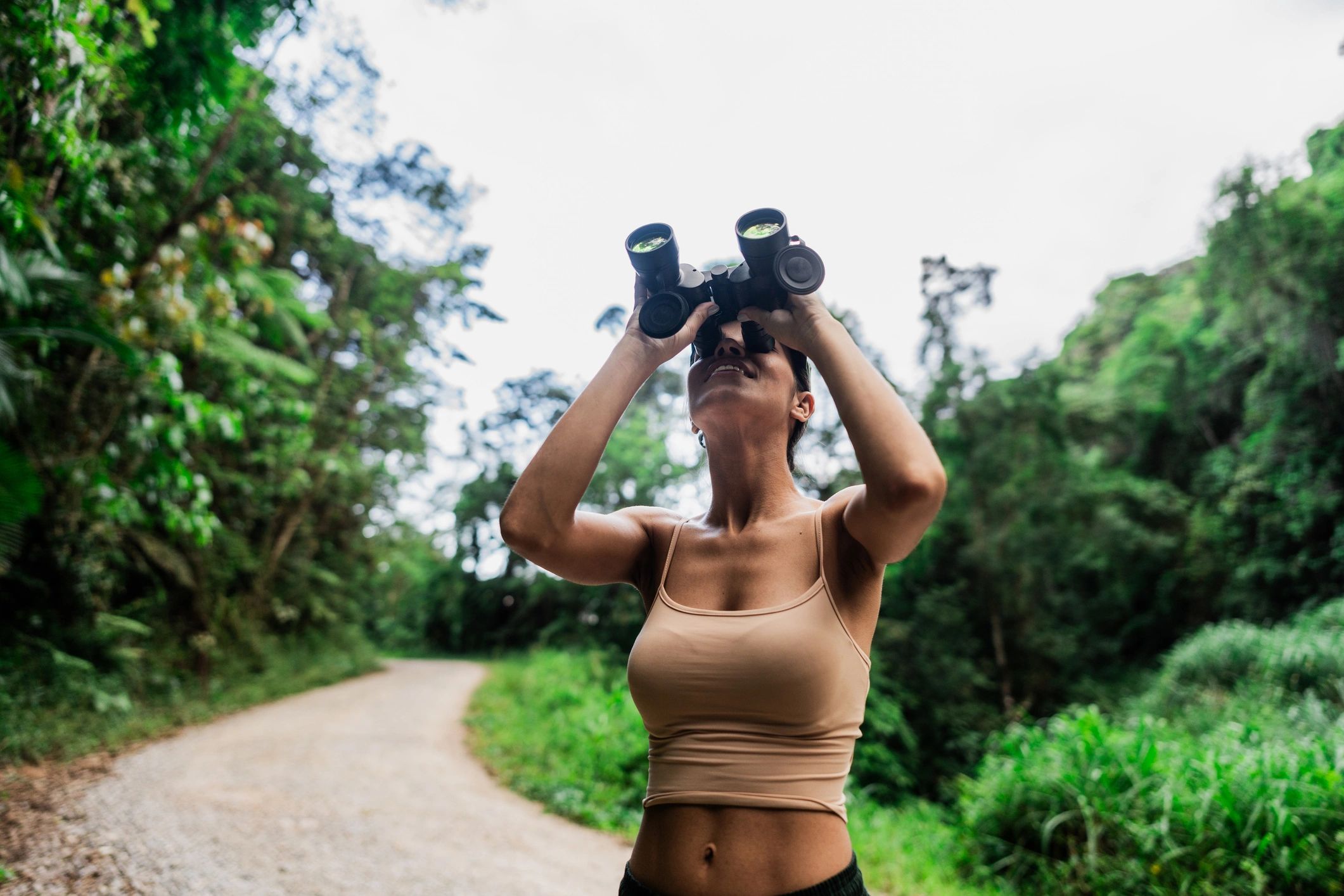 Person using binoculars while birdwatching in a forest