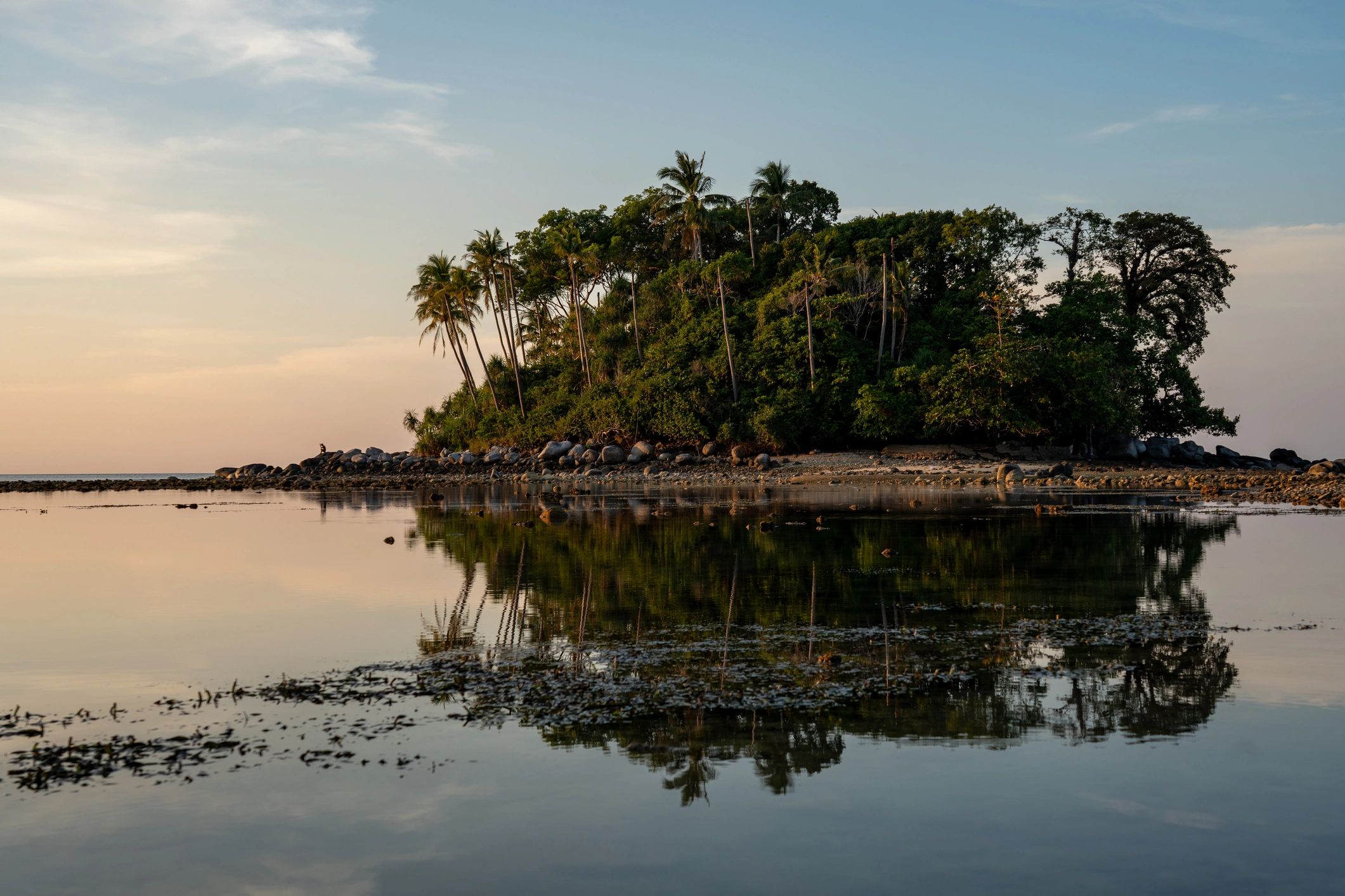 Palm-covered tropical island reflected in calm shallow water at sunrise